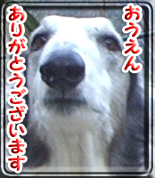 006540984098-54.jpg