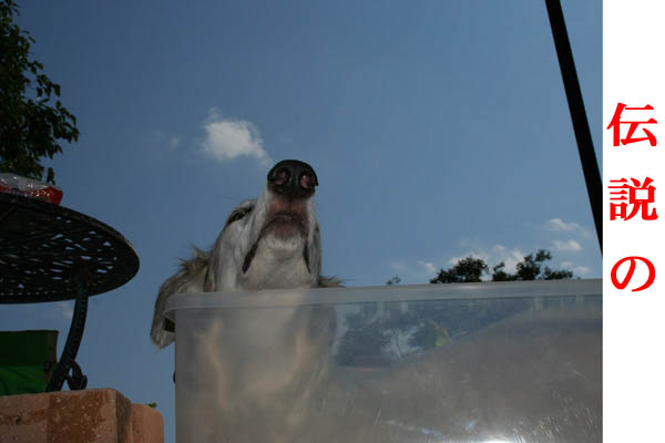 IMG_8664.jpg