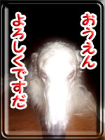ban20100401.jpg