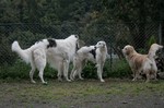 井戸端地獄会議