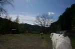 風が強いですが良いお天気です