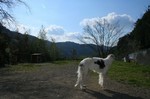 毎日似たような写真だ〜