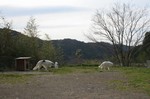 今日は手抜き^_^;