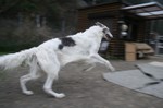 まだまだ興奮中。