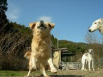 キャーチ!!!
