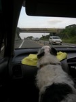 今日はみんなで病院へ〜。