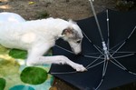 お天気が良いのに何故・・