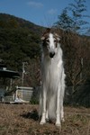こんにちは。ロー君です。