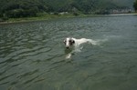ありがとうね。