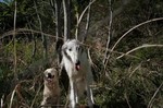 山に行ってみました