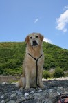 もう、夏ですね・・。