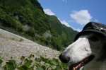 そう、夏ですだ・・。