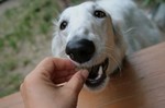 カプッ