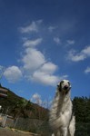 あけましておめでとうございます!