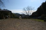 友達が遊びに来た!