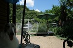 とにかく暑いですよ〜〜
