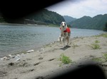 あれ カメラが変。