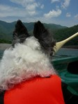 どこまで行くんだ・・。