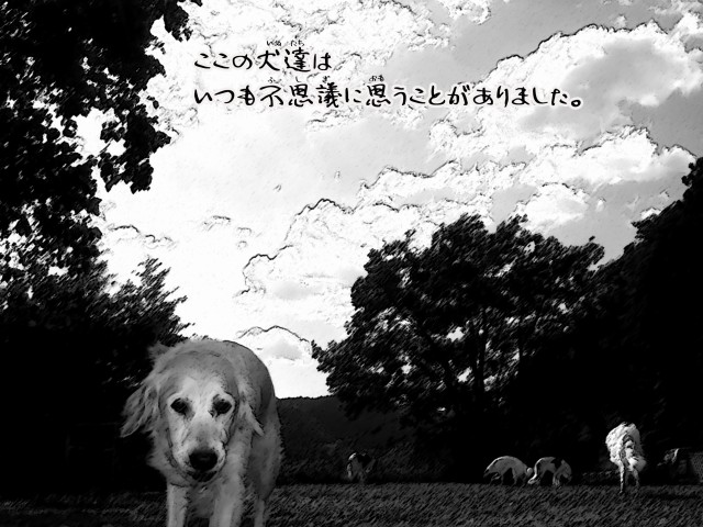 ボルゾイとお付きの超田舎的物語 3
