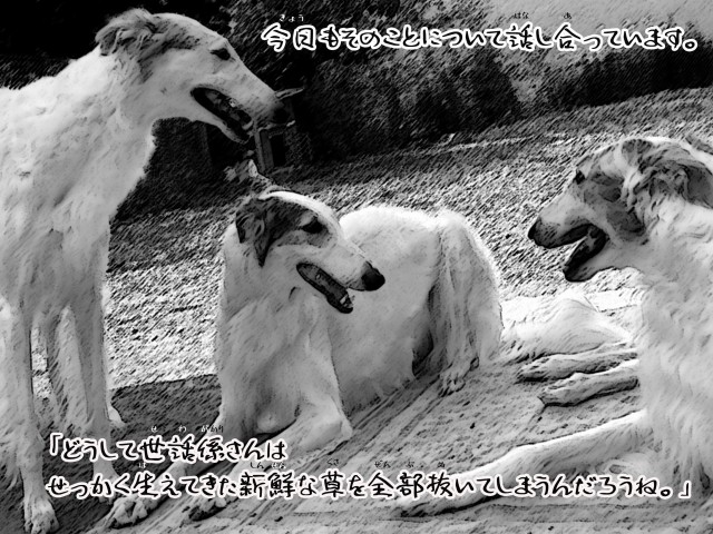 ボルゾイとお付きの超田舎的物語 4
