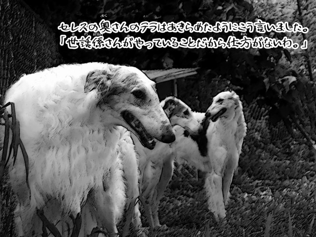 ボルゾイとお付きの超田舎的物語 6