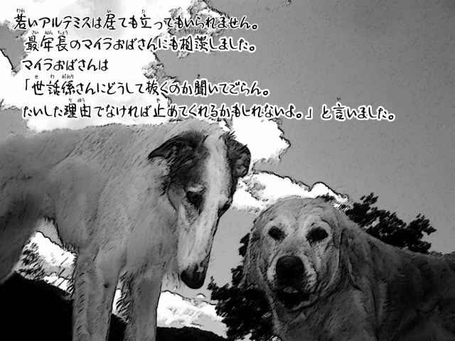 ボルゾイとお付きの超田舎的物語 7