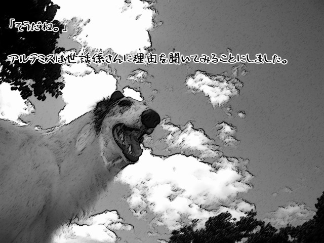 ボルゾイとお付きの超田舎的物語 8
