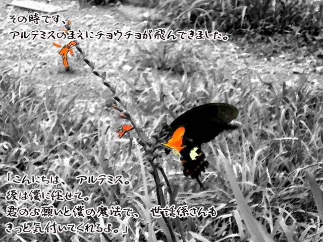 ボルゾイとお付きの超田舎的物語 17