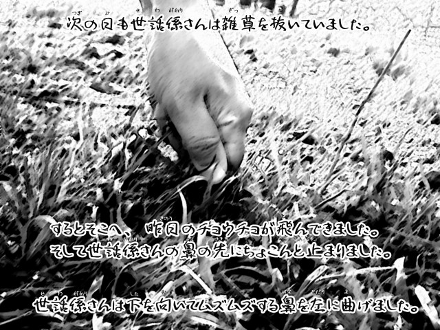 ボルゾイとお付きの超田舎的物語 18