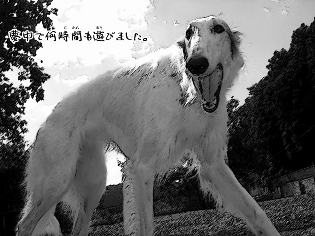 ボルゾイとお付きの超田舎的物語 23