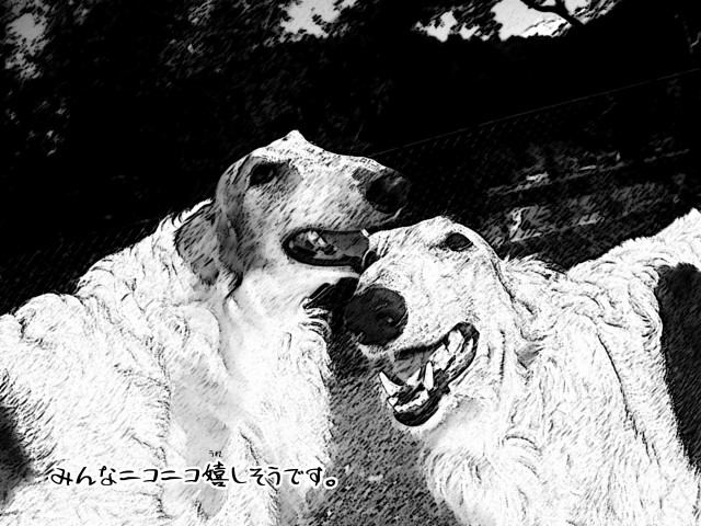 ボルゾイとお付きの超田舎的物語 27
