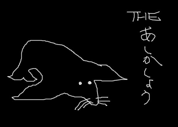 IMG_000306.jpg