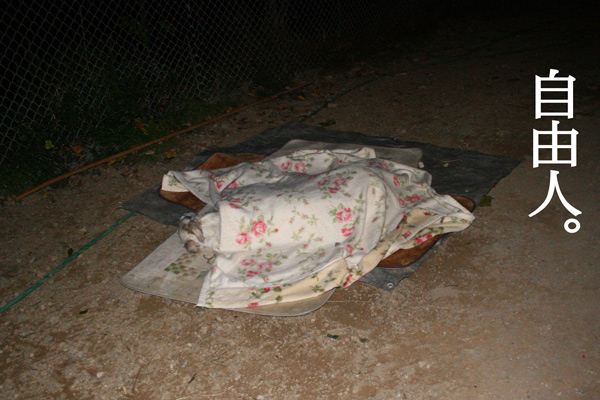 aaa4455.jpg