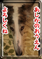 ban598001495540g954.jpg