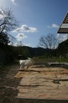今日は空がきれいです。
