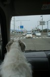 仕事ですだ