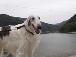 s200503311 029.jpg