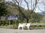 今日は少しだけ遠出。