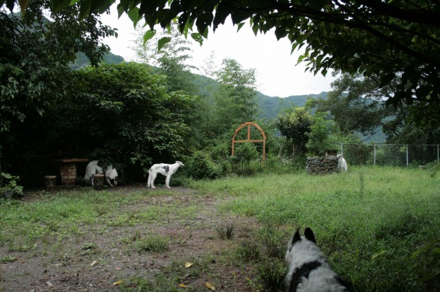 sIMG_0056.jpg