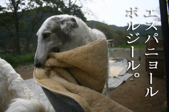 おらの