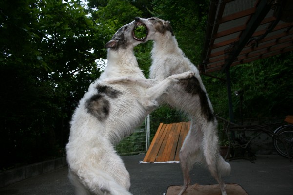 sIMG_1152.jpg
