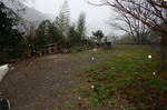 今朝は積もらなかったけどたぶん明日は雪の中で隠れんぼができると思うよ。
