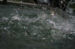 水がキレイ゚・*:.。. .。.: